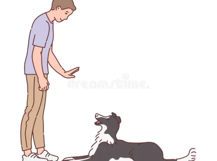 command