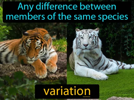 variation