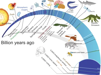 evolution