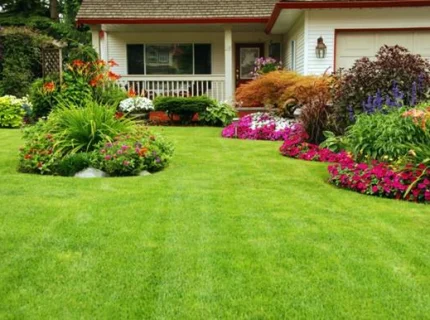 lawn