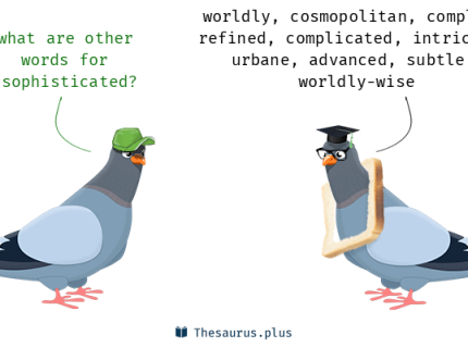 sophisticated