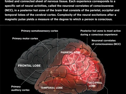 consciousness