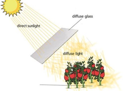 diffused