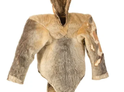 sealskin