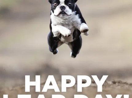 leaper