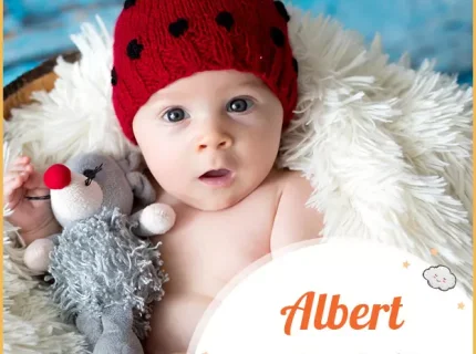 Albert