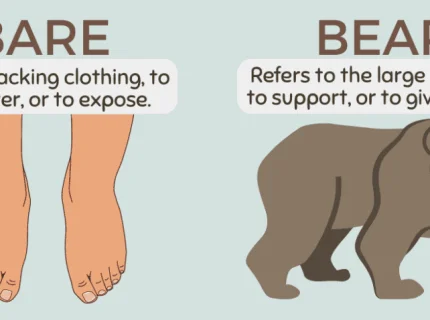 bear-like