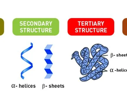 proteinaceous