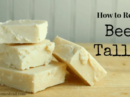 tallow