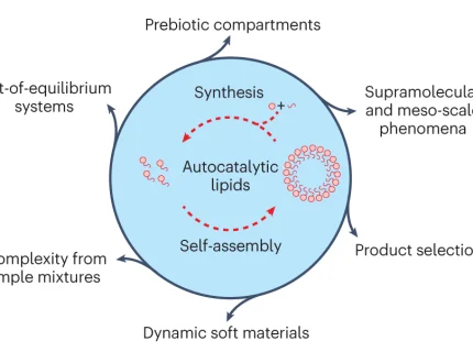autocatalysis