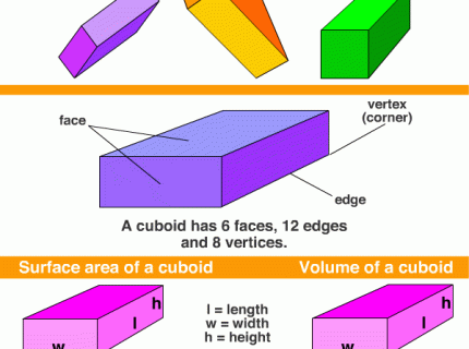 cuboid