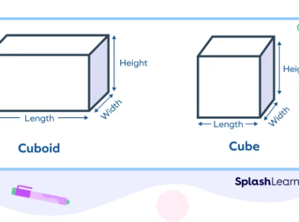 cuboidal