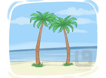 tropically
