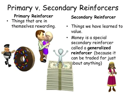 reinforcer