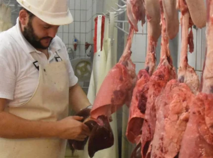 abattoir