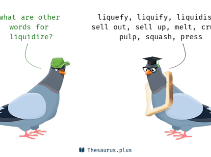 liquidize