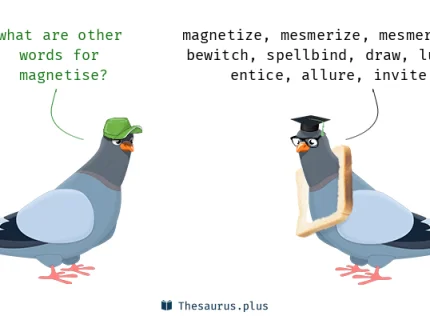 magnetise
