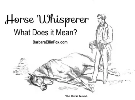 whisperer