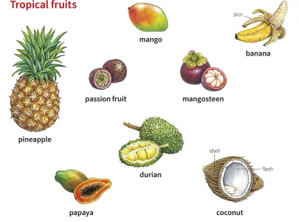 durian