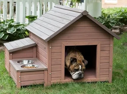 doghouse