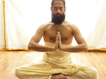 yogi