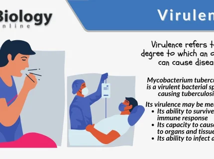 virulently