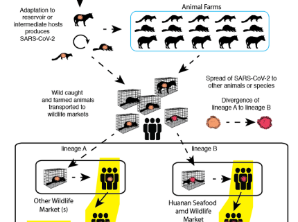 virological