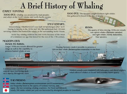 whaleboat