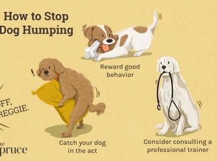 humping