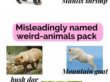 misleadingly