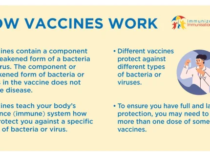 immunise