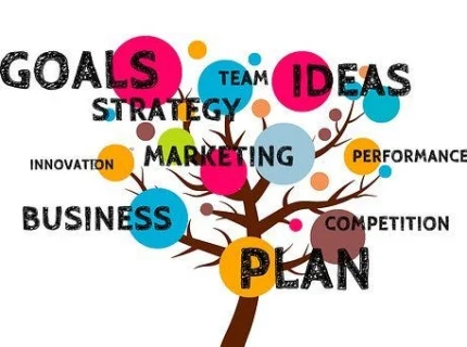 professionalize