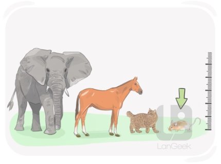 minuscular
