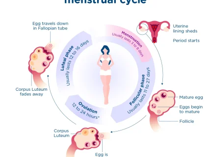 periods