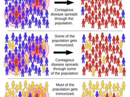 immunisation