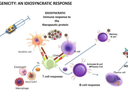 immunogenicity