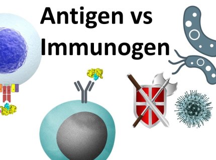 immunogen