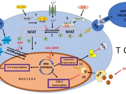immunosuppression