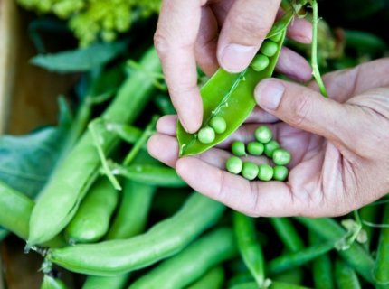 nourishing