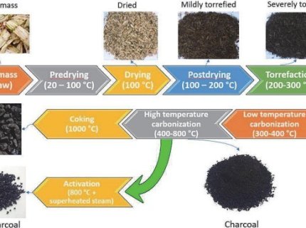 carbonize