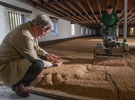 maltster