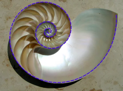spirally