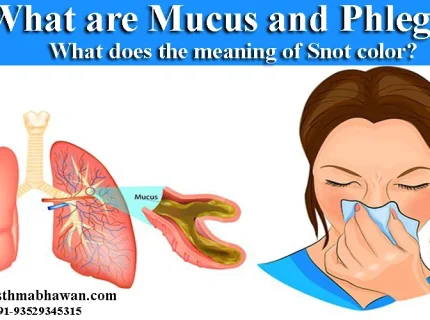 snot
