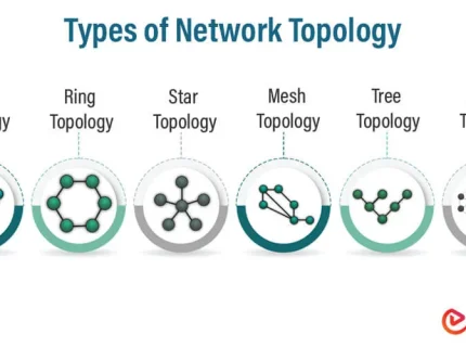 topology