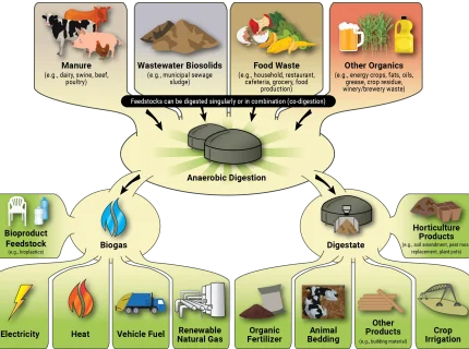 digester