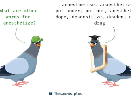 anesthetize