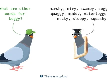 boggy