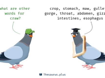 craw