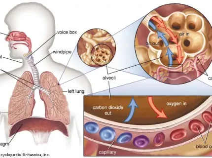 acidosis