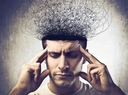 theorization